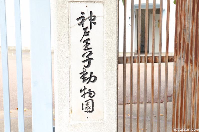 子連れでお出かけ 王子動物園 事前に知っておいた方がいいことなどを紹介 はやっさんblog 子連れでお出かけ 王子動物園 事前に知っておいた方がいいことなどを紹介 はやっさんblog