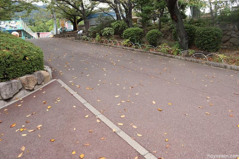 王子公園内の坂道