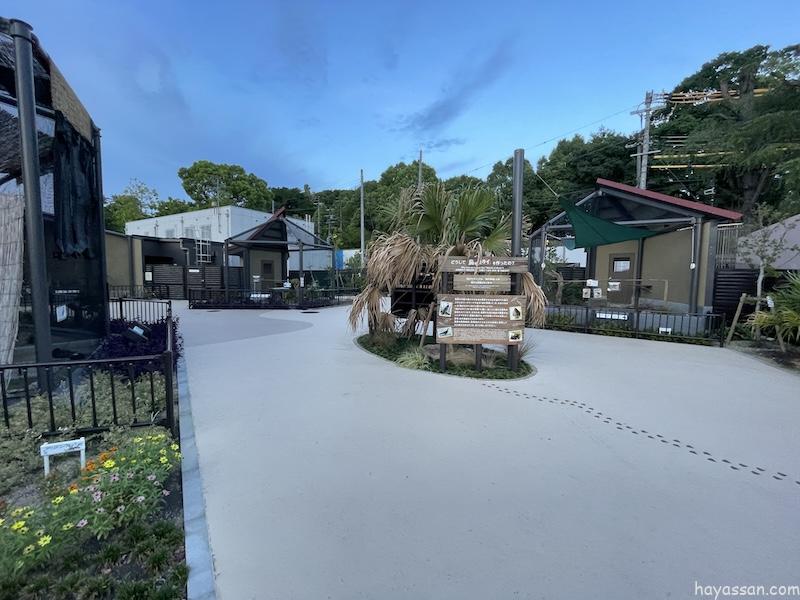 入れない鳥のセカイの風景